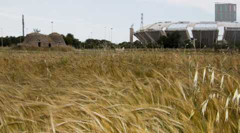 Bari calcio: ingresso gratuito allo stadio per i tifosi con disabilit